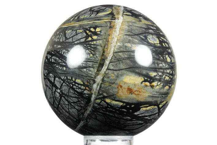 Polished Picasso Marble Sphere - Utah #355394